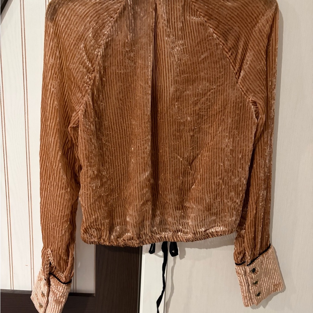 Free People Aspen Nights Velvet Blouse Size Small Button Down Long Sleeves - Picture 8 of 11